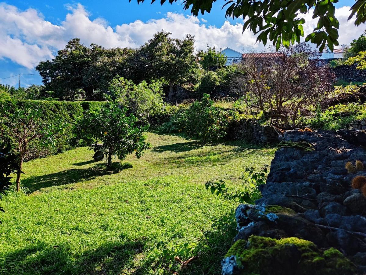 Apartmán A Fonte Santo Antonio  Exteriér fotografie